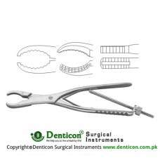 Ulrich Bone Holding Forcep Straight - With Thread Fixation Stainless Steel, 25 cm - 9 3/4"